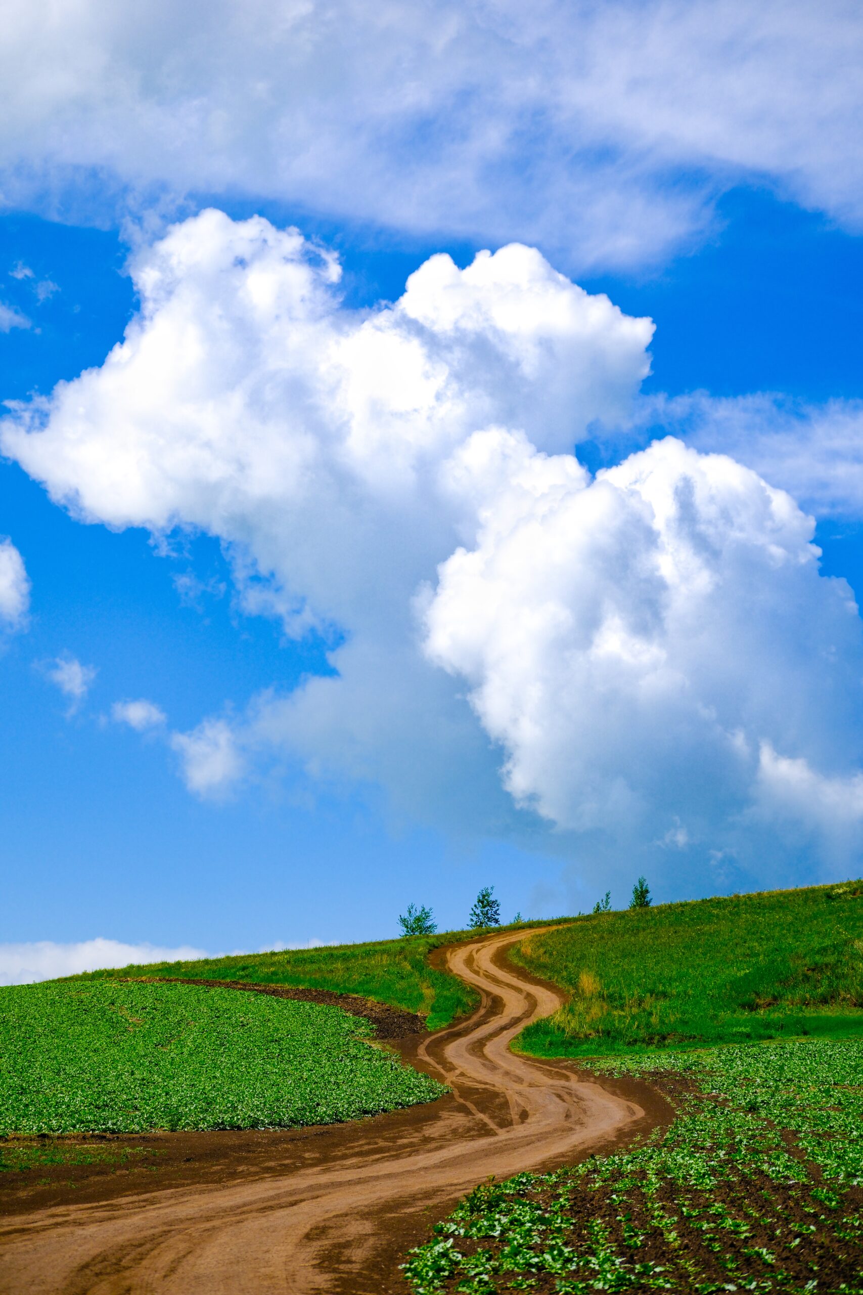 Why You’re Not Learning Faster — And What To Do About It