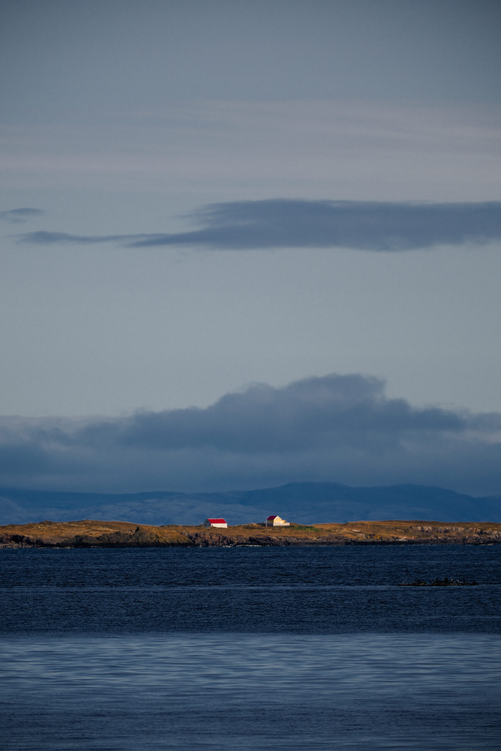 Why Loving What You Learn Makes All the Difference